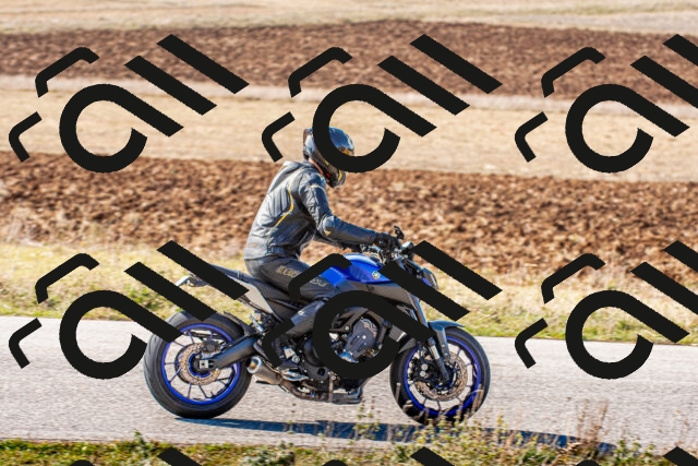 20251012111231_-R029981_r2