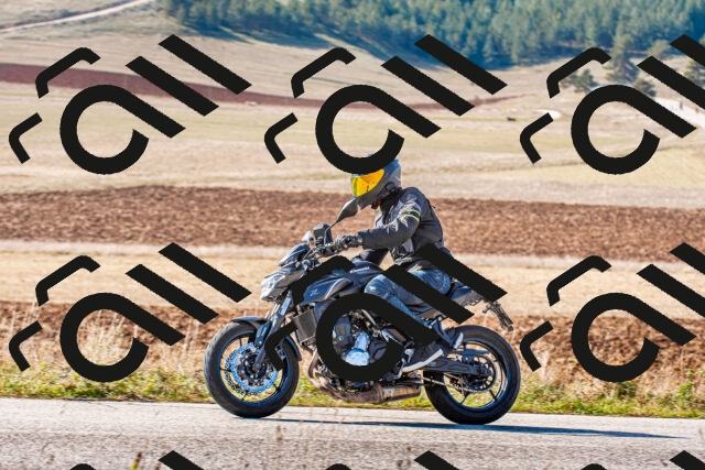 20251012113814_-R020291_r2