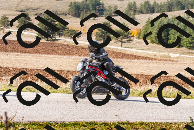 20251012114807_-R020459_r2