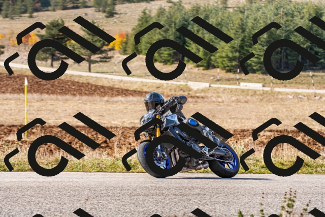 20251012114811_-R020465_r2