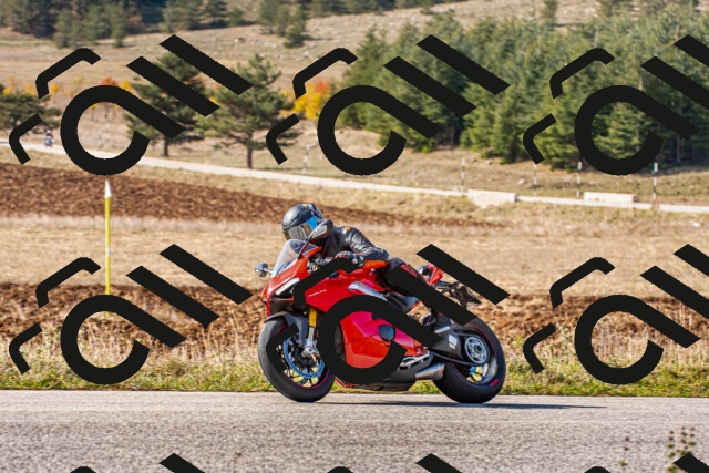 20251012114836_-R020473_r2