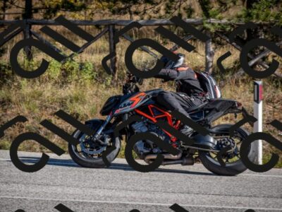 202511011228-DSC_9527_c2