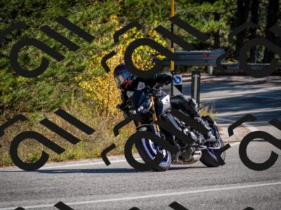 202511011228-DSC_9528_c2