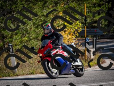 202511011251-DSC_9677_c2