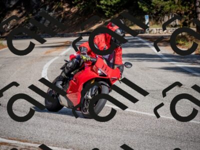 202511011312-DSC_9826_c2