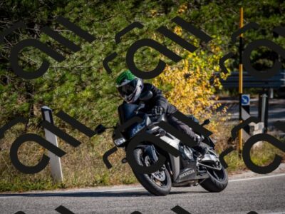 202511011314-DSC_9836_c2