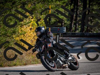 202511011323-DSC_9867_c2