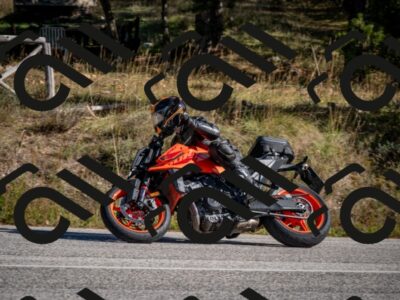 202511011340-DSC_9928_c2