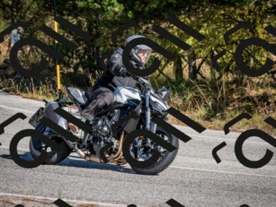 202511011341-DSC_9943_c2