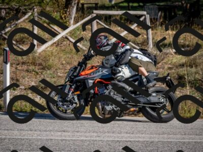 202511011349-DSC_9981_c2