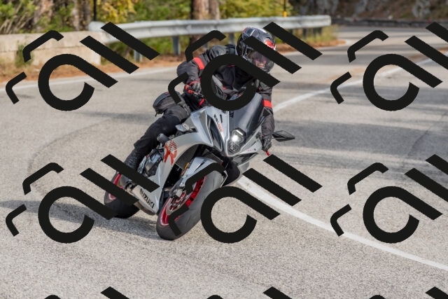 202511021129-DSC_8828_c4_