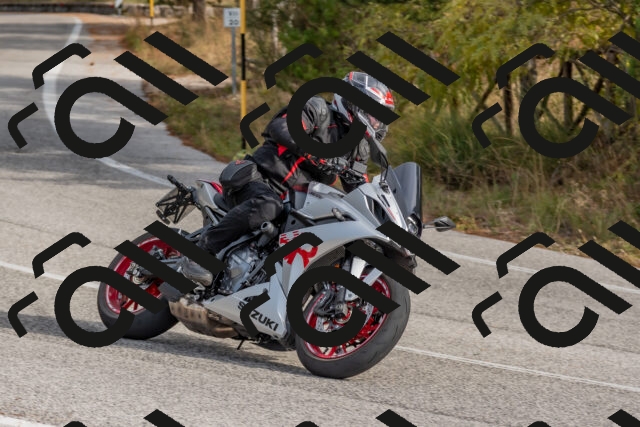 202511021129-DSC_8829_c4_