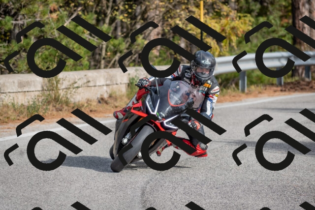 202511021136-DSC_8843_c4_