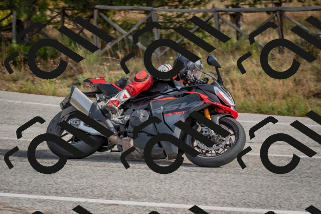 202511021136-DSC_8845_c4_