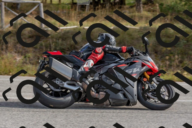 202511021136-DSC_8846_c4_