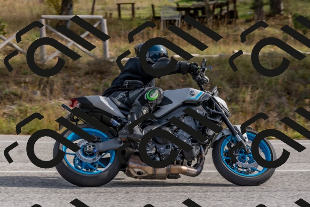 202511021141-DSC_8854_c4_