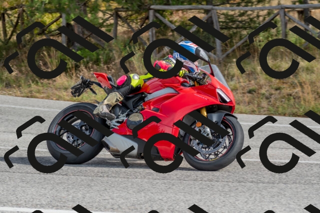 202511021141-DSC_8858_c4_