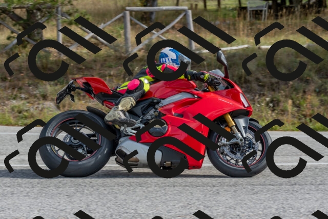 202511021141-DSC_8859_c4_