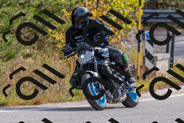 202511021143-DSC_8873_c4_