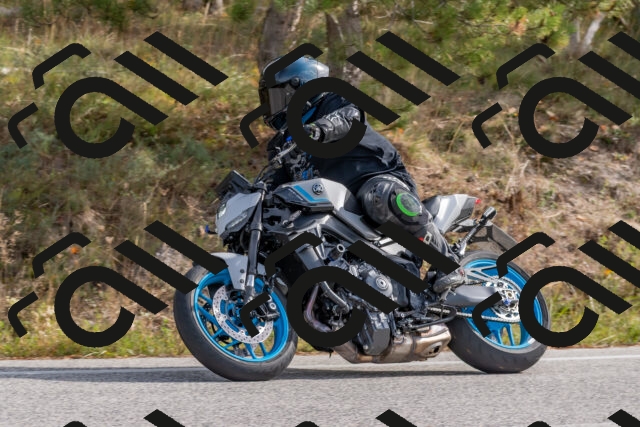 202511021143-DSC_8875_c4_