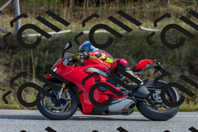 202511021143-DSC_8881_c4_