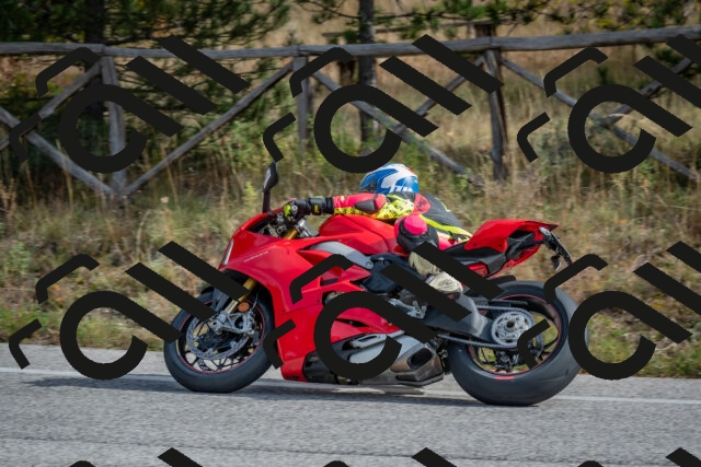 202511021143-DSC_8882_c4_