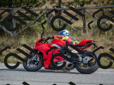 202511021143-DSC_8882_c4_