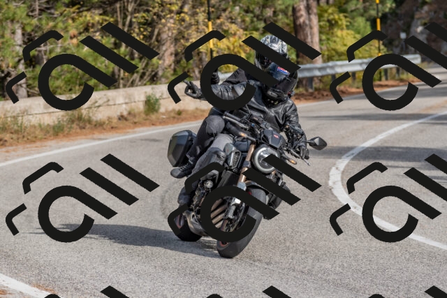 202511021143-DSC_8885_c4_