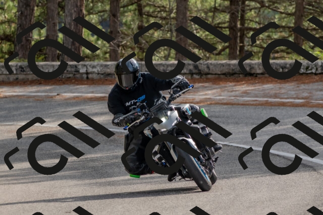 202511021146-DSC_8895_c4_