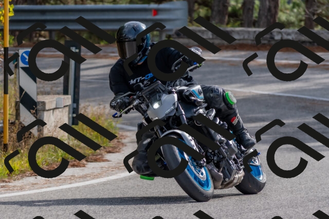 202511021146-DSC_8896_c4_