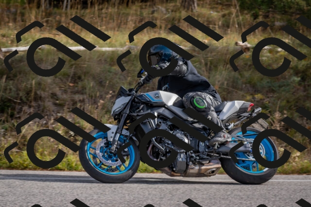 202511021146-DSC_8898_c4_