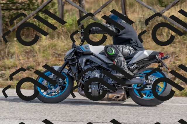 202511021146-DSC_8899_c4_