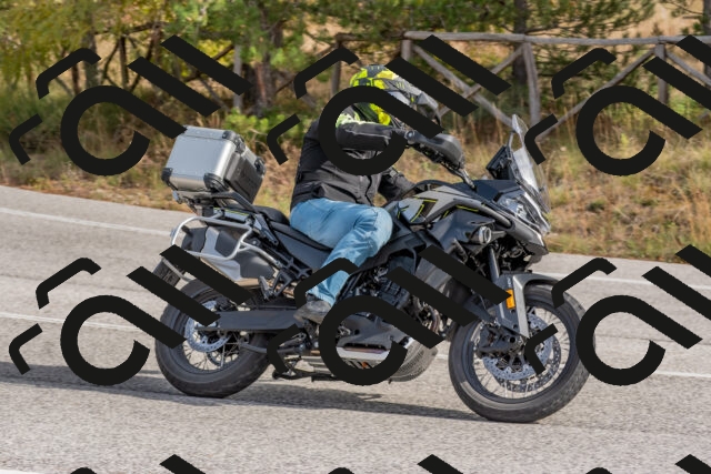 202511021147-DSC_8904_c4_