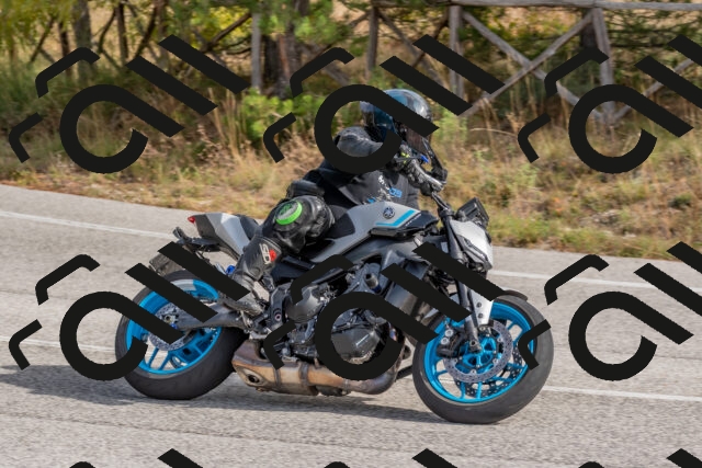 202511021147-DSC_8915_c4_