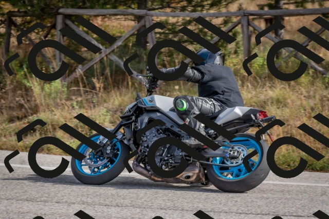 202511021147-DSC_8923_c4_