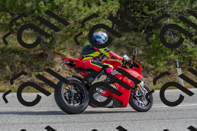 202511021147-DSC_8928_c4_