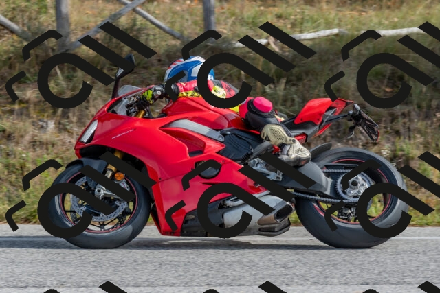 202511021149-DSC_8935_c4_