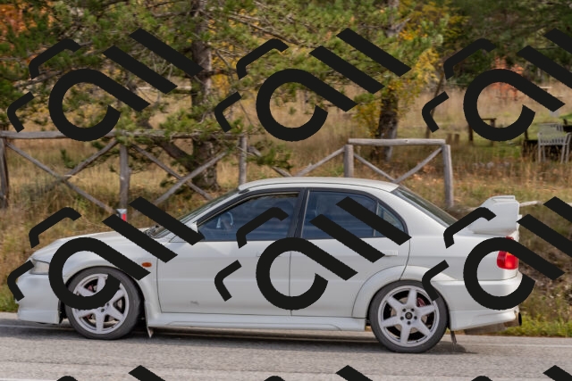 202511021153-DSC_8940_c4_