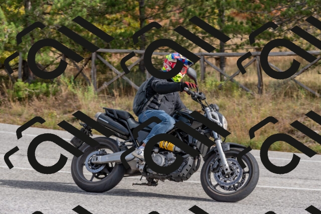 202511021159-DSC_8948_c4_