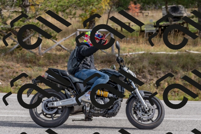 202511021159-DSC_8949_c4_