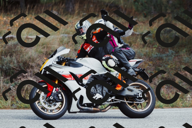 202511021416-_04A3769_c3