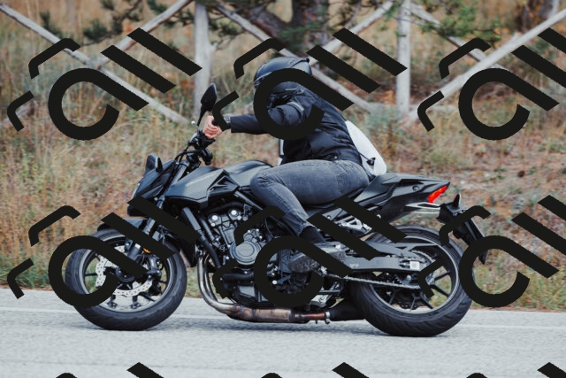 202511021418-_04A3775_c3