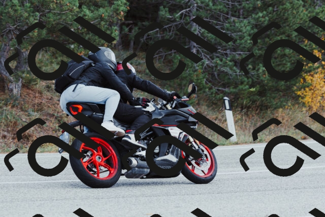 202511021420-_04A3782_c3