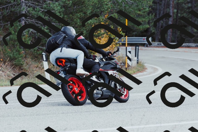 202511021420-_04A3783_c3