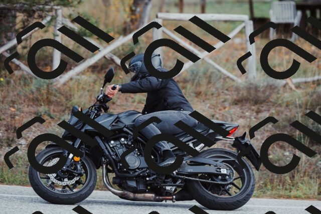 202511021423-_04A3791_c3