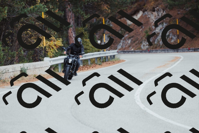 202511021423-_04A3793_c3