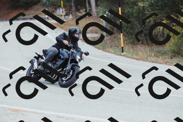 202511021423-_04A3796_c3