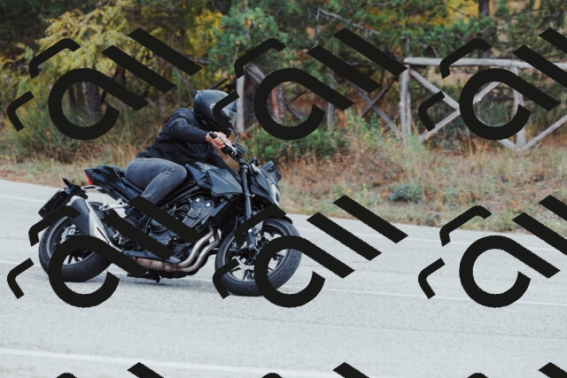 202511021423-_04A3797_c3