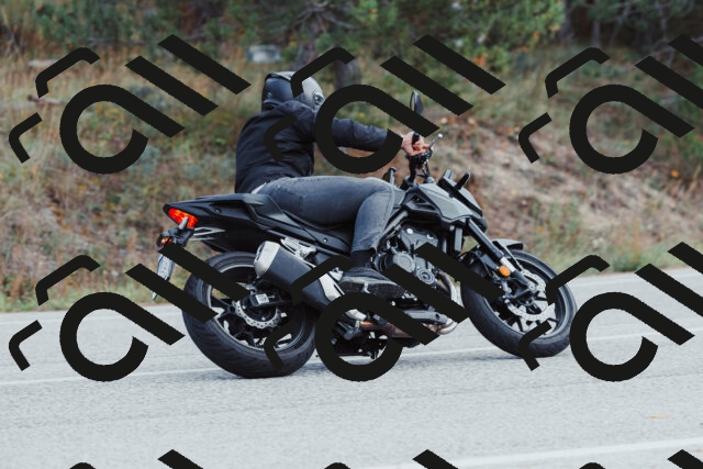 202511021423-_04A3799_c3