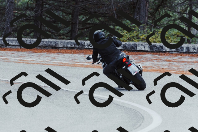 202511021423-_04A3806_c3